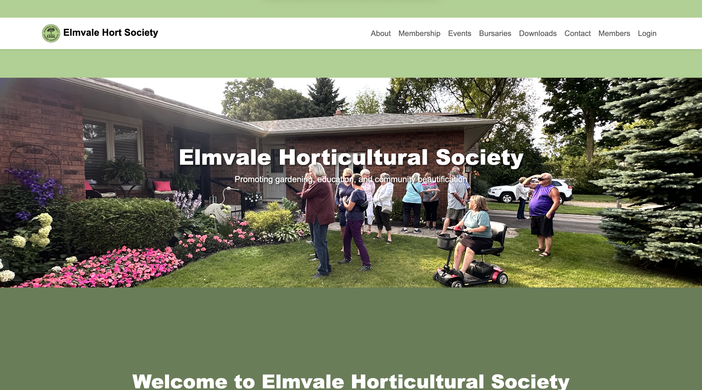 website preview image